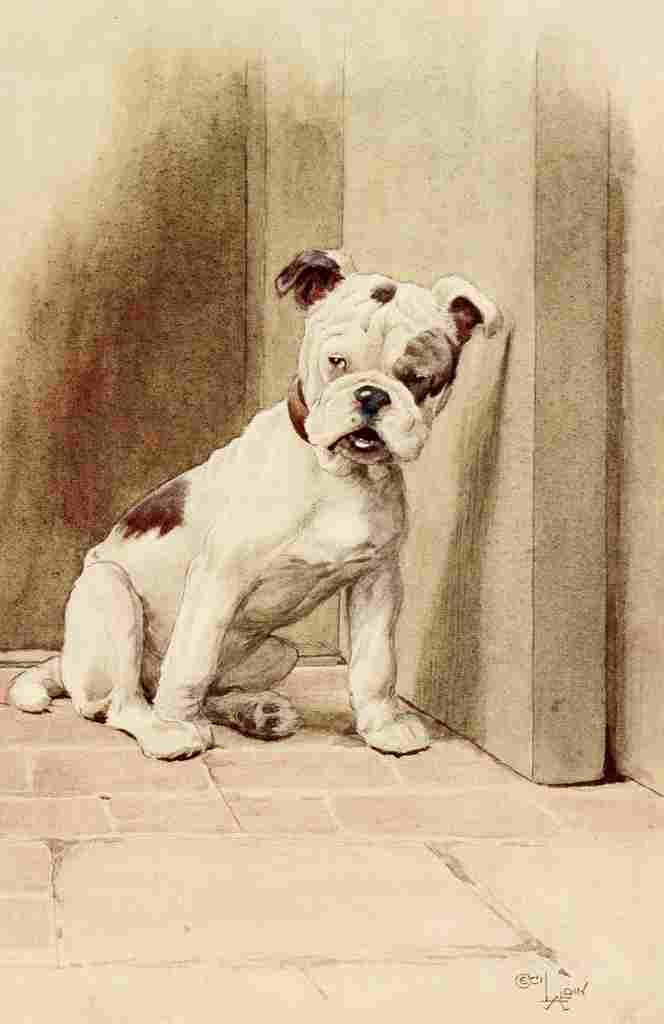My Dog 1913 2 A4 Photo Print