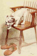My Dog 1913 3 A4 Photo Print