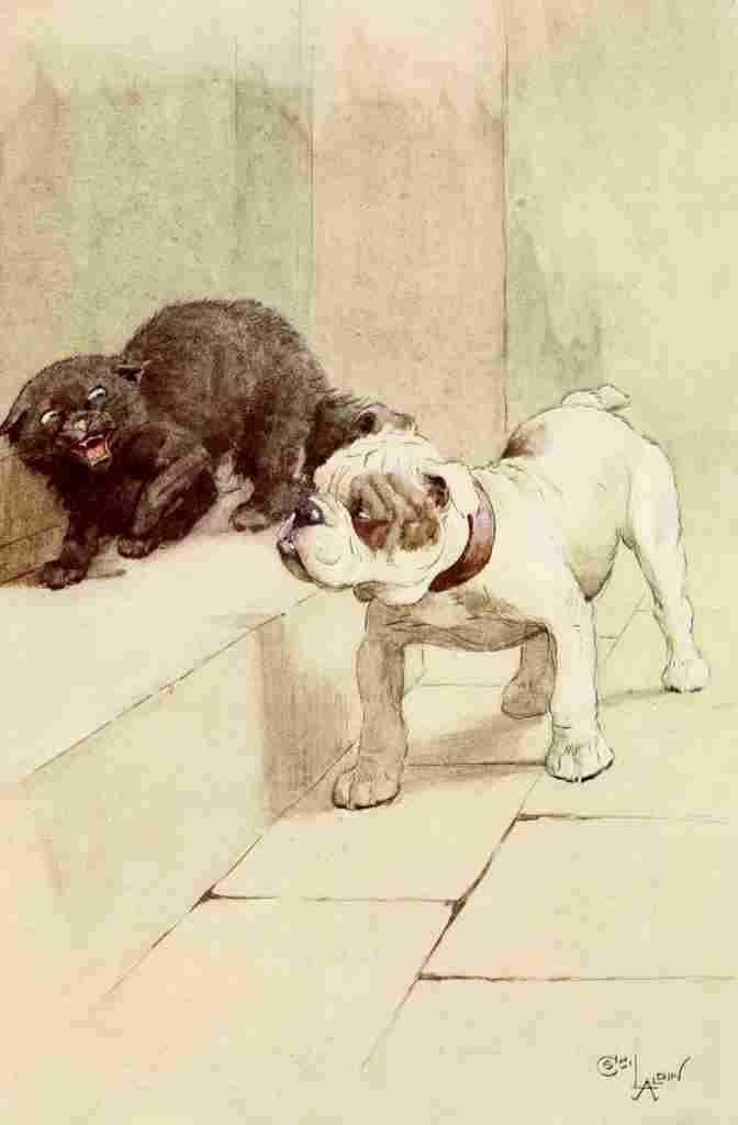 My Dog 1913 5 A4 Photo Print