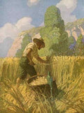 NC Wyeth crusoe6  A4 Photo Print