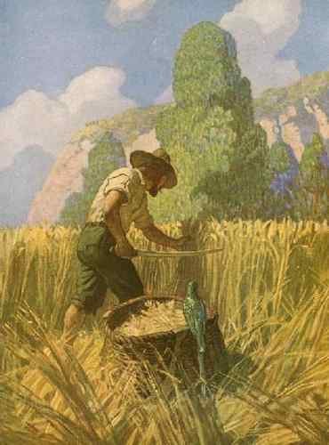 NC Wyeth crusoe6  A4 Photo Print