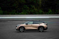 NISSAN Ariya 6886 40 Car A4 Photo Print
