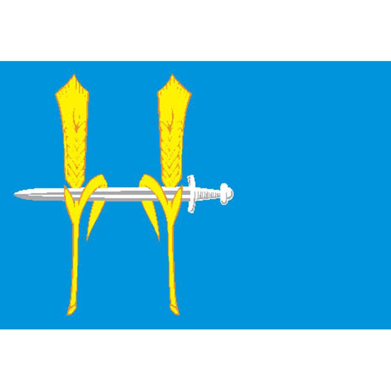 Nagaibaksy Rayon Flag N542 A4 Photo Print