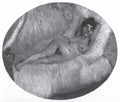 Naked Woman In Bed Paris 1887 A4 Photo Print