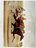 Nancy Hanks Horse A4 Photo Print