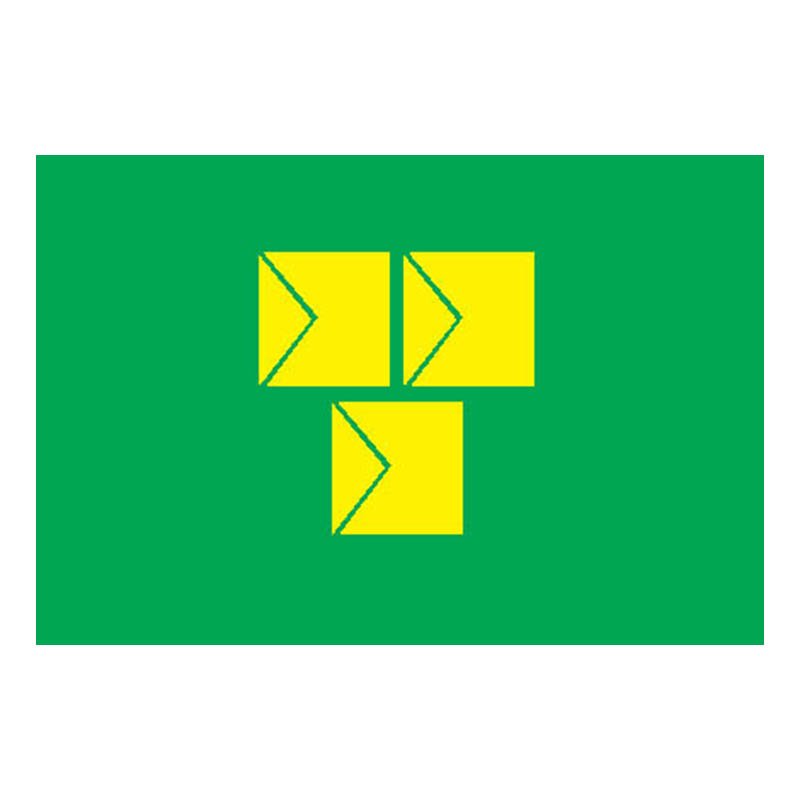 Narashino City Flag N2639 A4 Photo Print