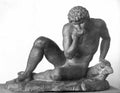 Narcissus 1801 A4 Photo Print