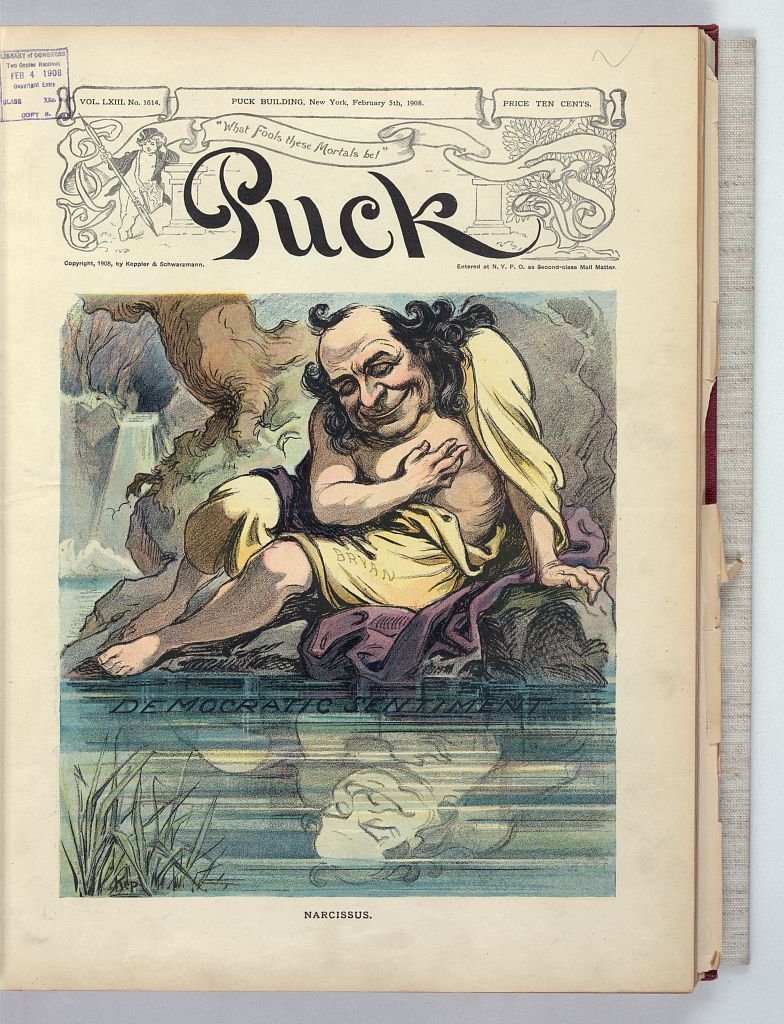 Narcissus PUCK A4 Photo Print