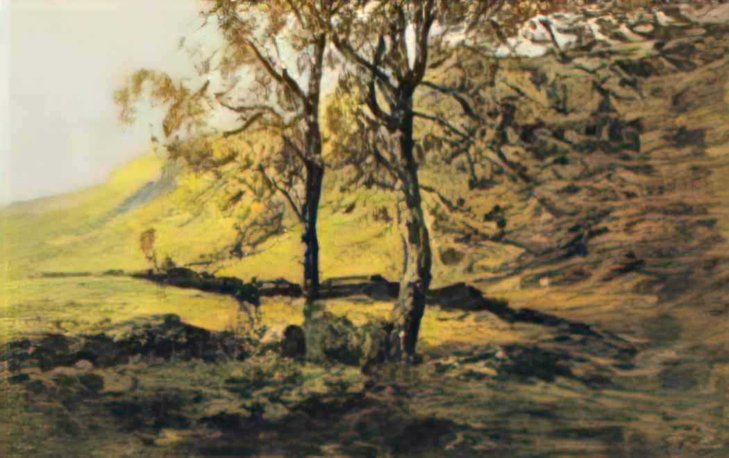 Nathaniel Hone the Younger the silver birch Art A4 Photo Print