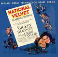 National Velvet 01  film star poster A4 Photo Print