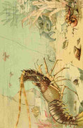 Natural History 1896 FOPC Crustaceans A4 Photo Print