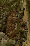 Natural History 1896 Leopards A4 Photo Print
