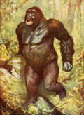 Natural History 1903 The largest gorilla ever captured A4 Photo Print