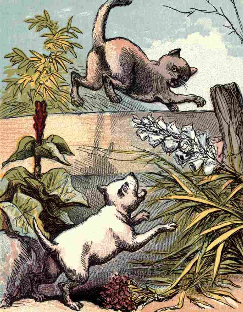 Naughty Puppies 1870 Dog chasing cat A4 Photo Print