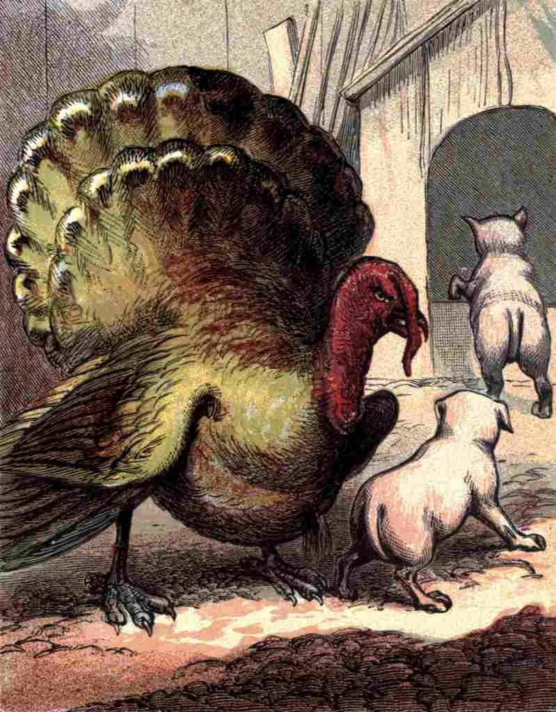 Naughty Puppies 1870 Turkey & pups A4 Photo Print