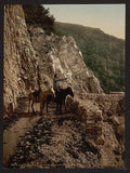 Near the Bagatski Bridge Caucasus Vintage A4 Photo Print