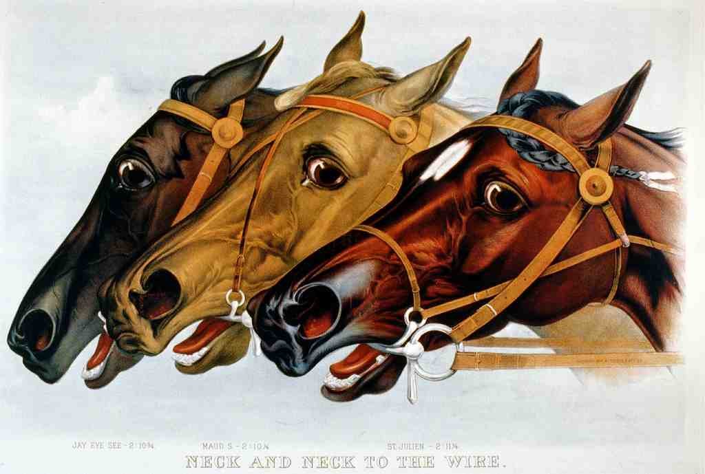 Neckand Neck Horse 001 Vintage A4 Photo Print