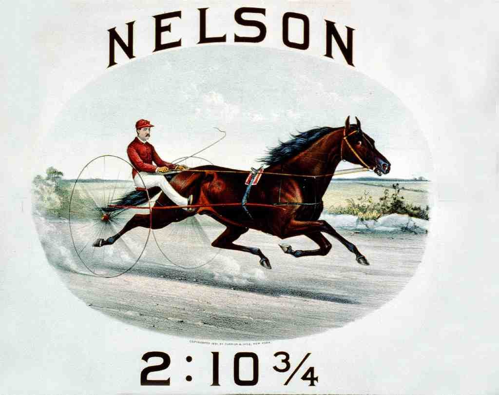 Nelson 3 Horse 001 Vintage A4 Photo Print