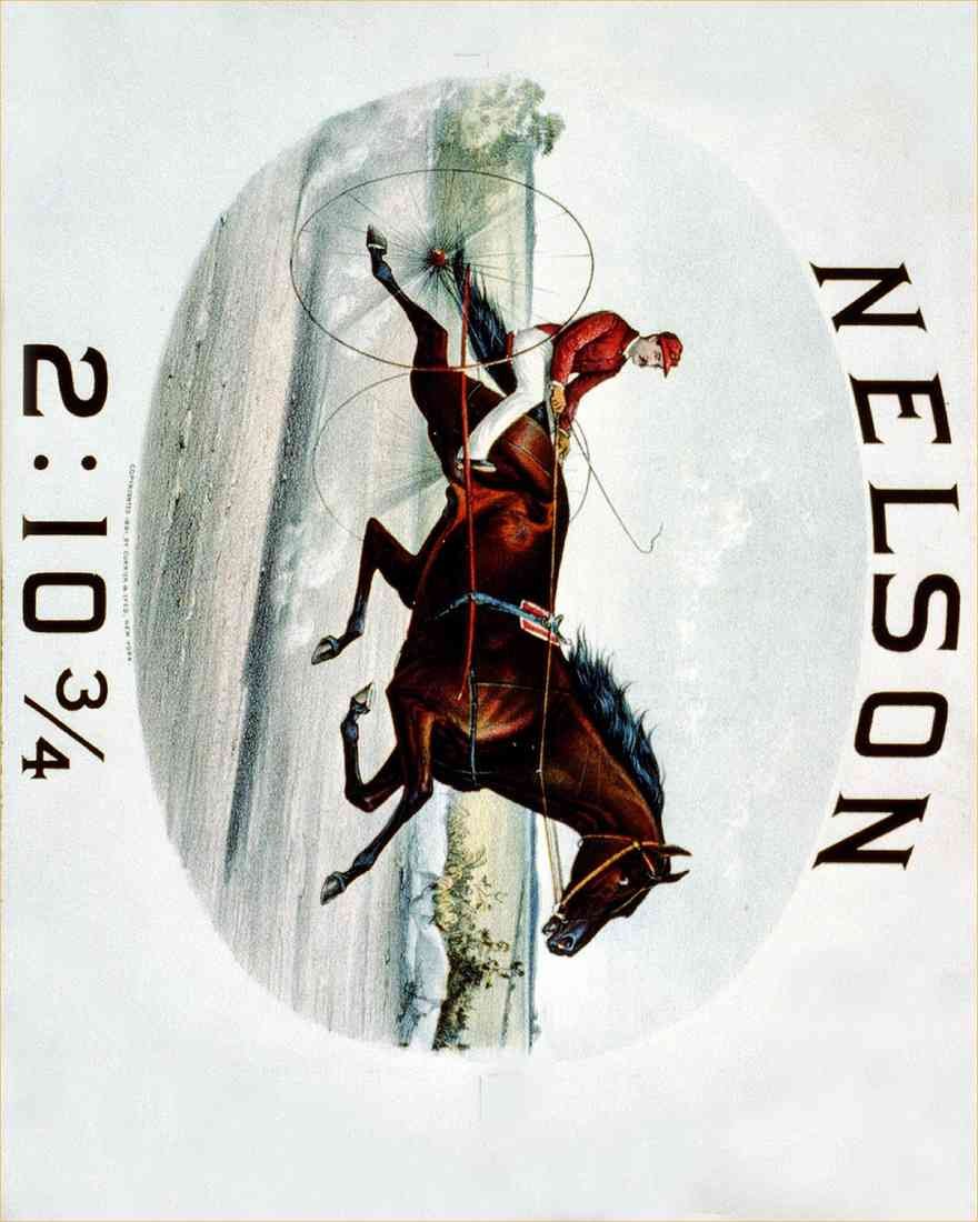 Nelson 3 Horse A4 Photo Print