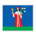Nemunaitis City Flag N7010 A4 Photo Print
