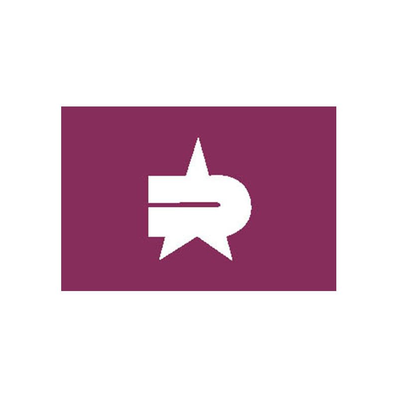 Nerima Ku Flag 2376 A4 Photo Print