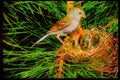 Nesting Birds USA Canada 163030 Field Sparrow With Young A4 Limited Edition Watercolour Print