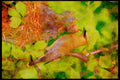 Nesting Birds USA Canada 163034 Cedar Waxwing With Nestlings A4 Limited Edition Watercolour Print
