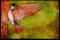 Nesting Birds USA Canada 163040 Tree Swallow On Tree Trunk A4 Limited Edition Watercolour Print