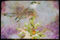 Nesting Birds USA Canada 163046 Gray Jay On Snowy Branch A4 Limited Edition Watercolour Print