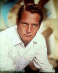 Newman Paul 10 film star poster A4 Photo Print