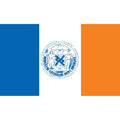 Newyork City Flag N6171 A4 Photo Print