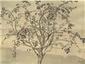 Nicholas Roerich apple tree 1905 Art A4 Photo Print