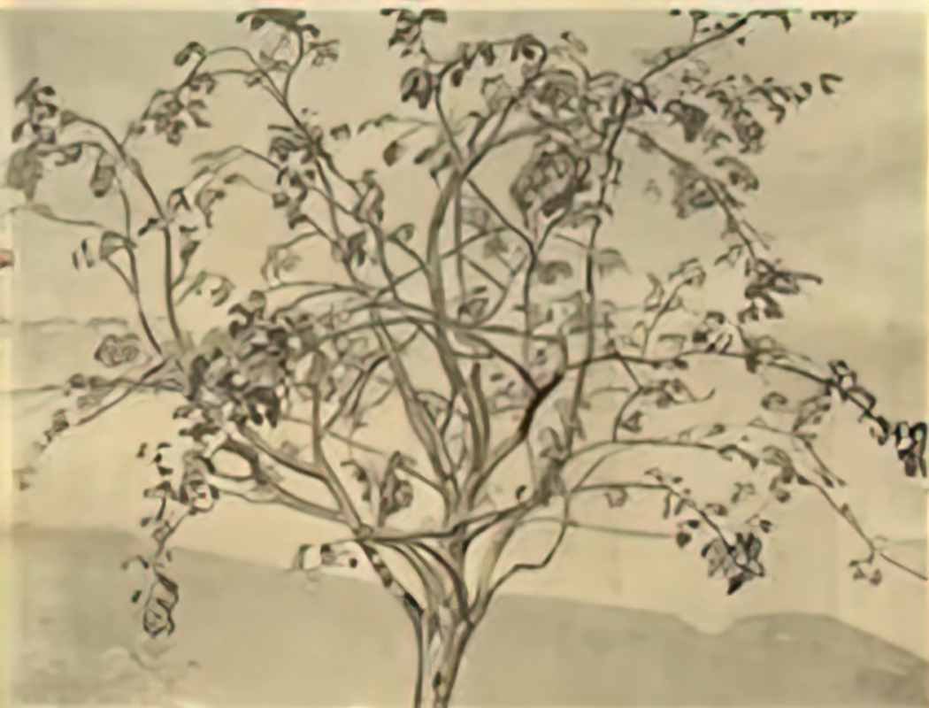 Nicholas Roerich apple tree 1905 Art A4 Photo Print