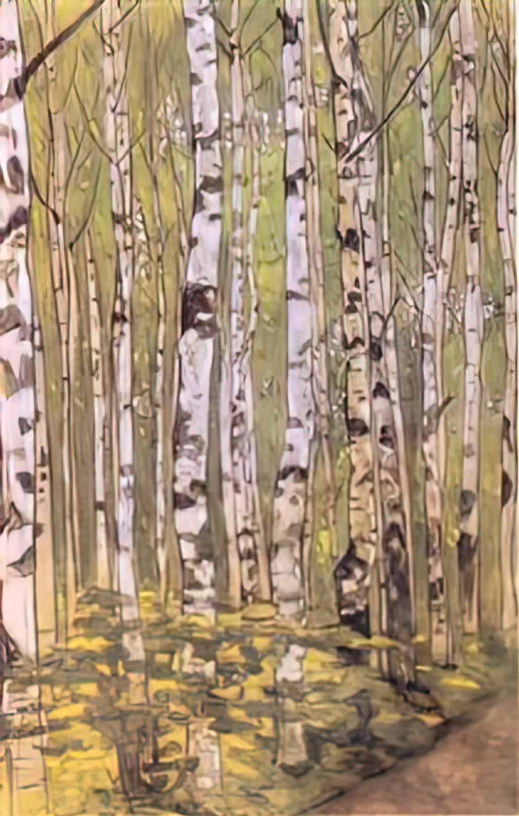 Nicholas Roerich birches 1905 Art A4 Photo Print