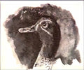 Nicholas Roerich duck s head Art A4 Photo Print