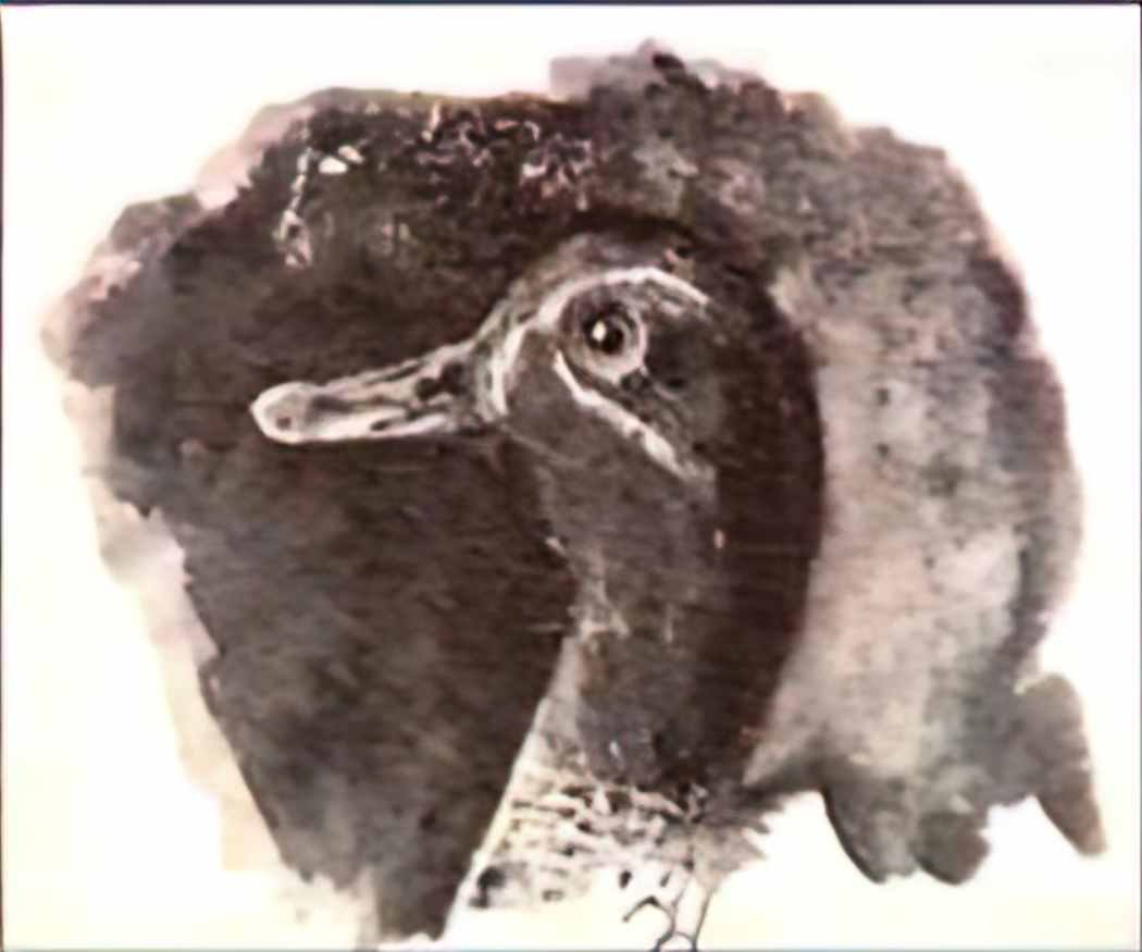 Nicholas Roerich duck s head Art A4 Photo Print