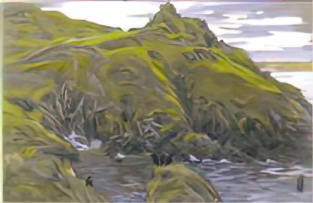 Nicholas Roerich green fjord Art A4 Photo Print