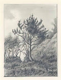 Nicholas Roerich near mount sobachya in sosnitsy 1893 Art A4 Photo Print