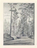 Nicholas Roerich second bridge on road to threshing floor in state forest 1893 Art A4 Photo Print