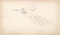Nicholas Roerich sketch for tale of tsar saltan 1919 3 Art A4 Photo Print