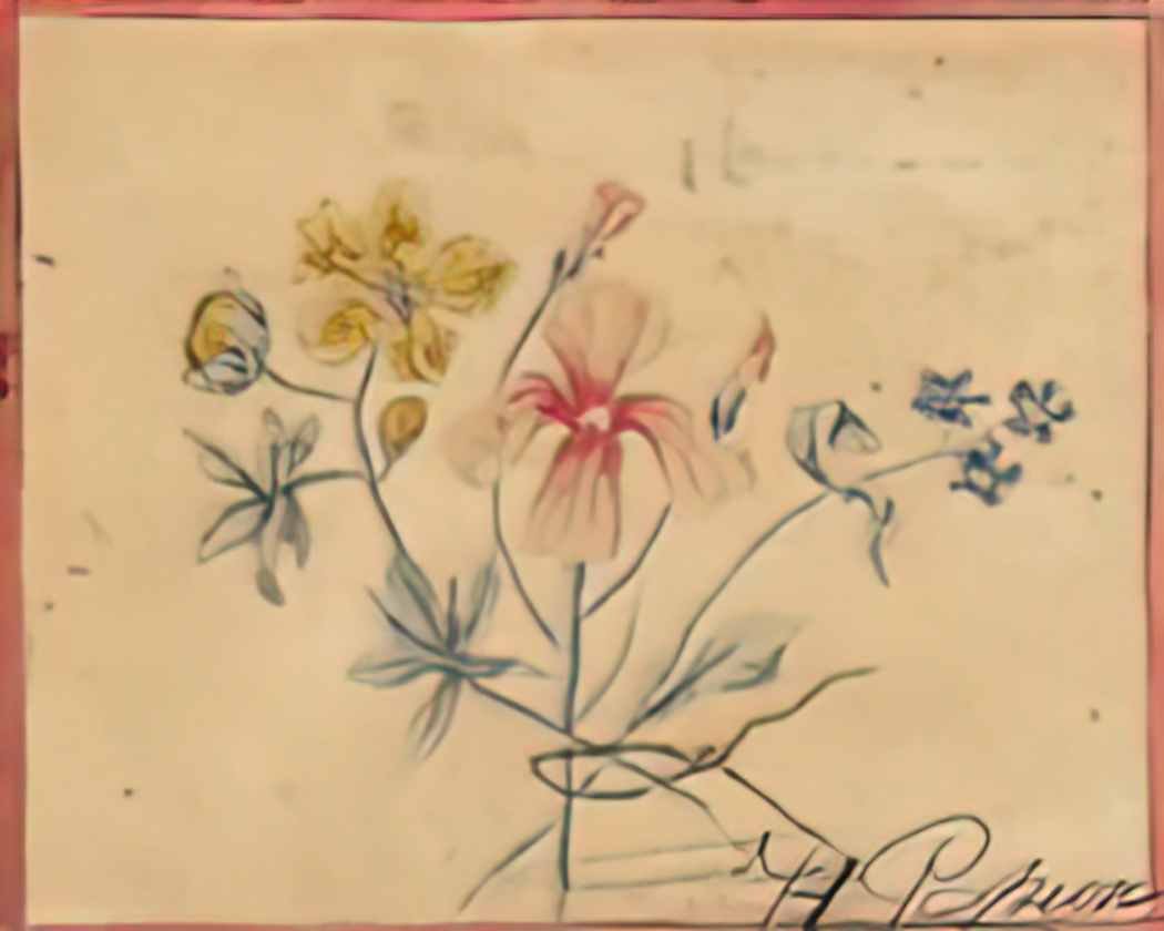 Nicholas Roerich study of flowers 1889 Art A4 Photo Print