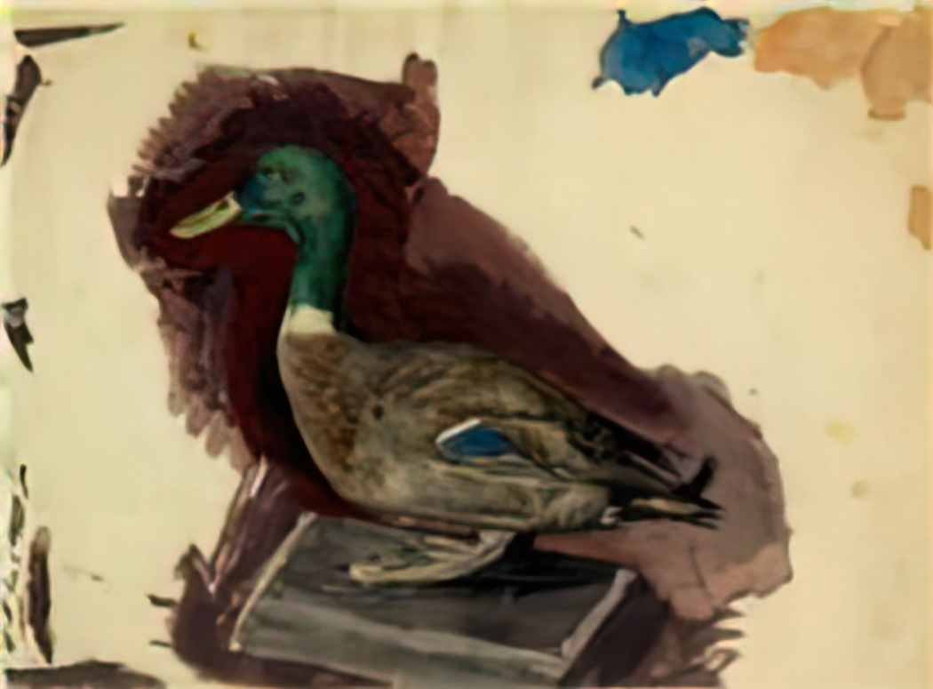 Nicholas Roerich stuffed duck Art A4 Photo Print