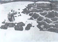 Nicholas Roerich water paternoster 1905 Art A4 Photo Print