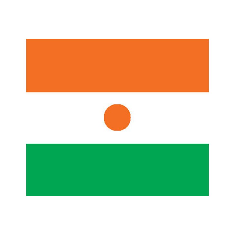 Niger Flag N1783 A4 Photo Print