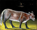Niko Pirosmani jackal(1) Art A4 Photo Print