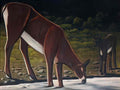 Niko Pirosmani roe deer at a spring(1) Art A4 Photo Print