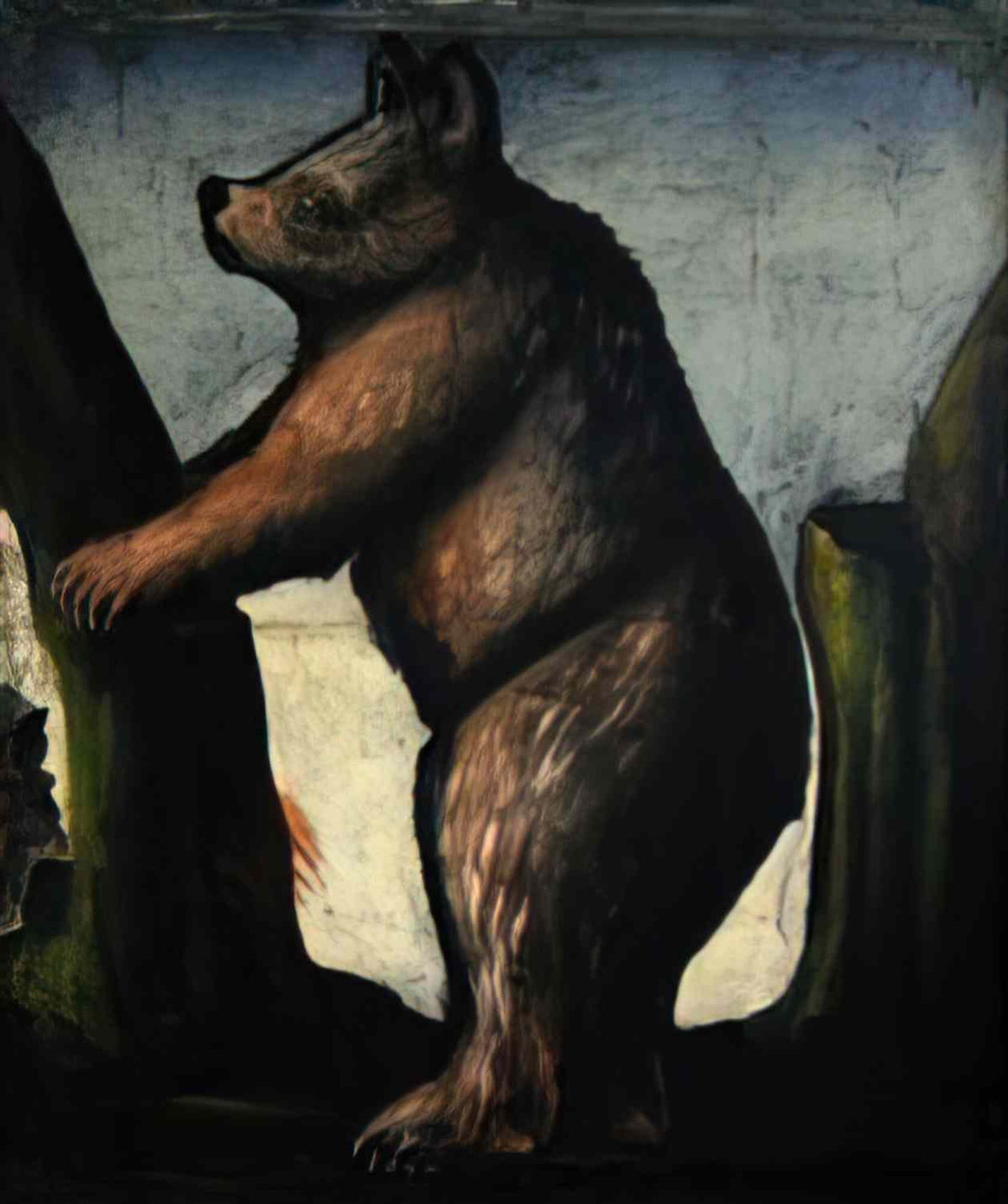 Niko Pirosmani teddy bear(1) Art A4 Photo Print
