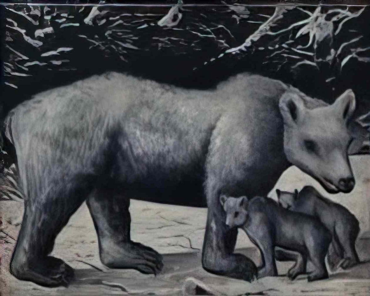 Niko Pirosmani white bear with her cubs Art A4 Photo Print
