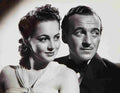 Niven David Raffles 1S film star poster A4 Photo Print
