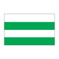 Nomme Tallinn Flag N2834 A4 Photo Print